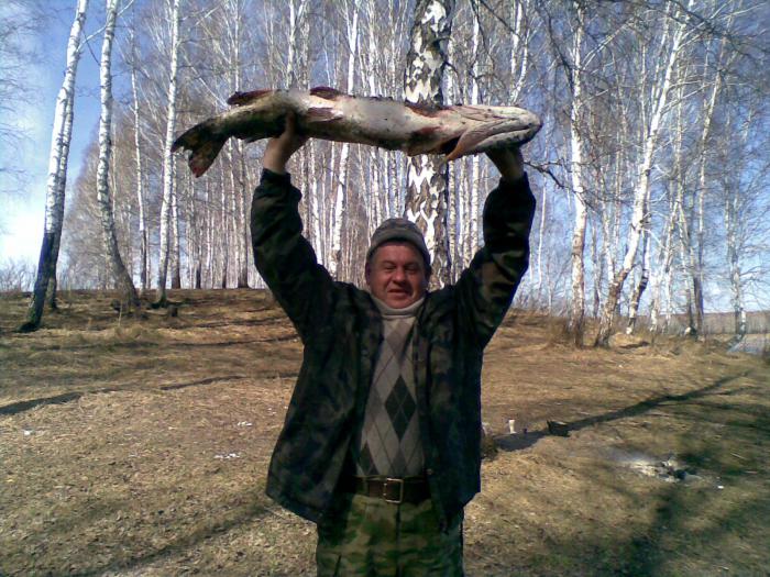 Щука!)