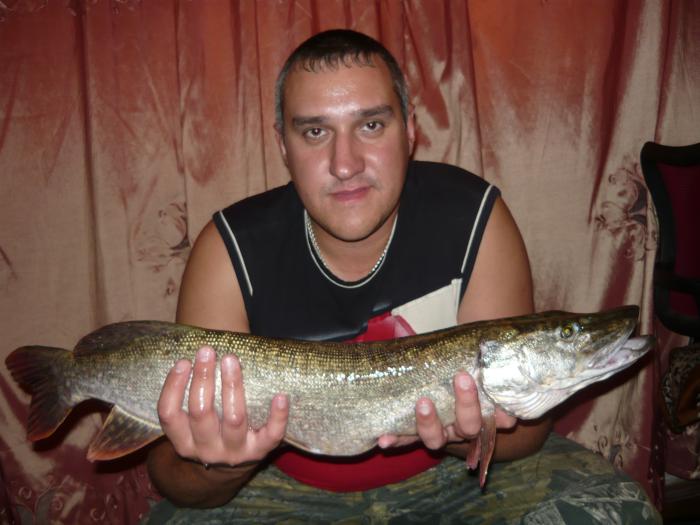 Долгожданная.