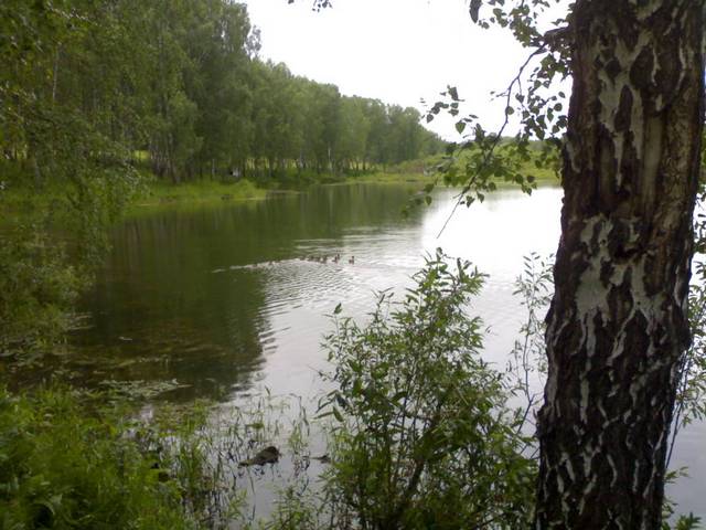 Прогулка