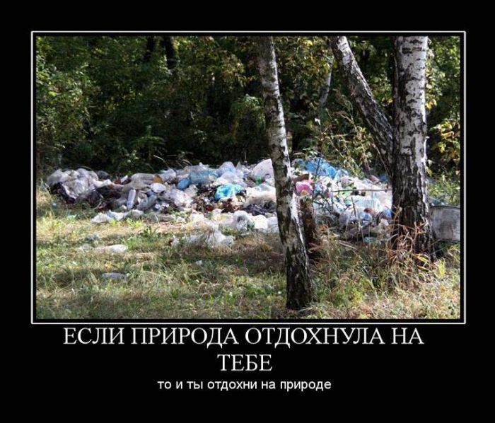 Ставь 5, если согласен!!!)