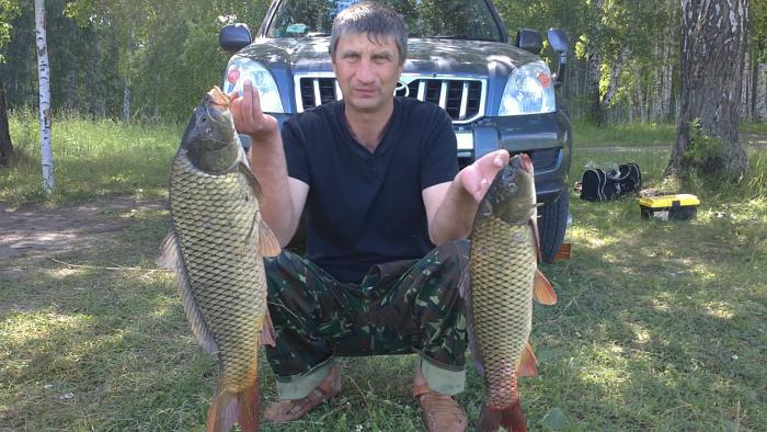 было поймано 7 карпов (верх балта)
