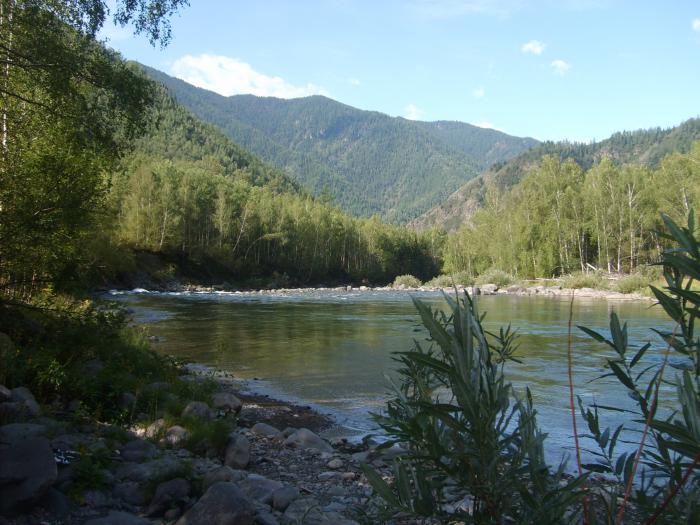 Сумульта
