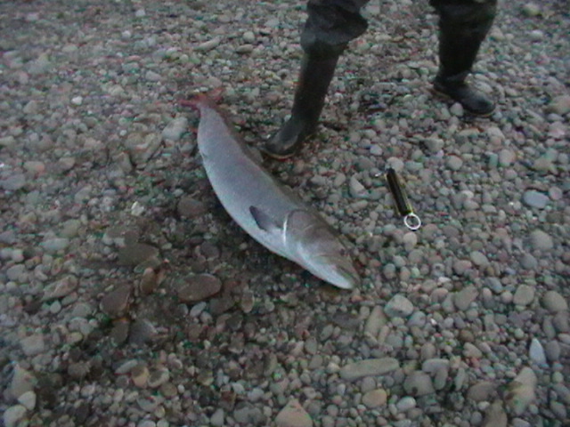 Саха Якутия 09.08.2011 г.