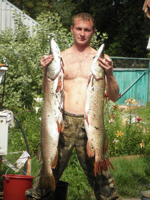 6.100 и 8.500