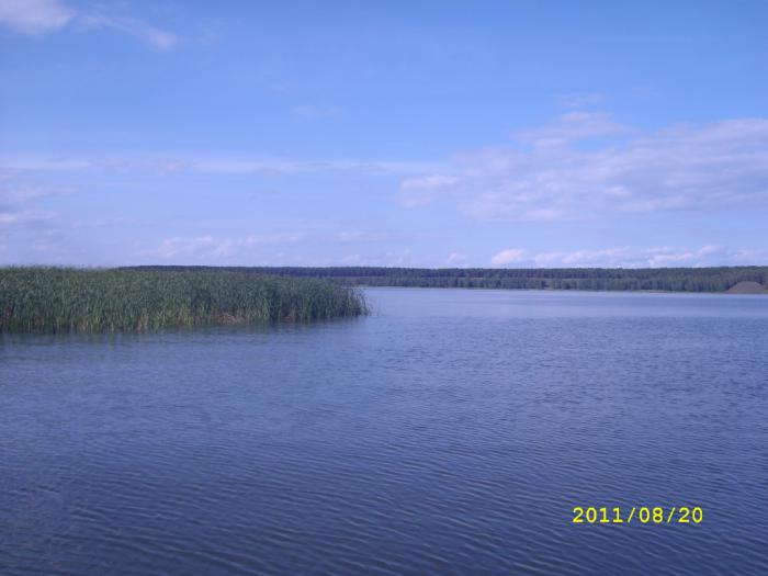 Бердский залив.