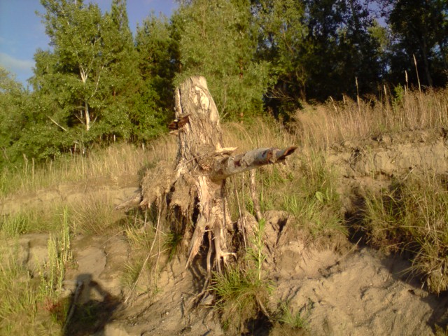 Смотритель реки.
