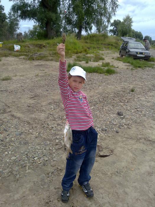 Поймал почти сам на Оби