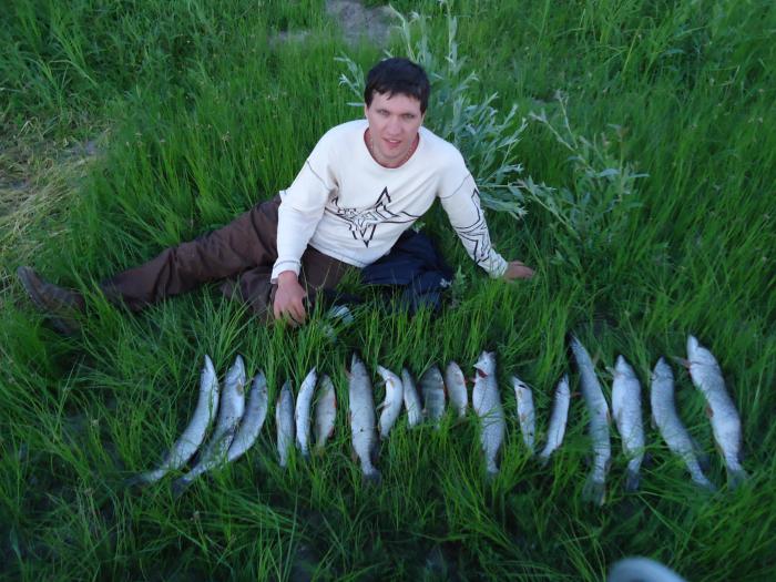 Ассорти Сузунское