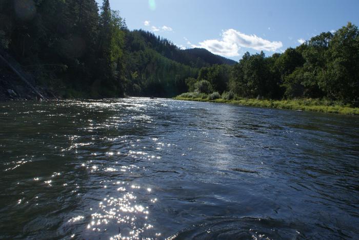  "По речке таежной качусь я в лодченке и песню спеваю  под бульки водченки..."