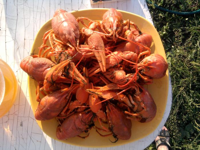 Раки