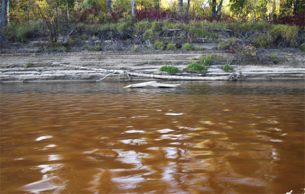 Вода в оби ниже Каргаска