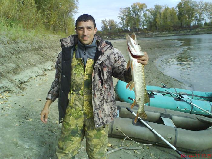 За 2 дня, эта-2кг и ещё на 1 кг. В эти выходные рыба нас не баловала. Симан.