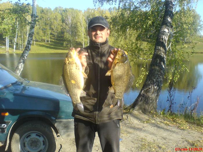 КАРАСИ