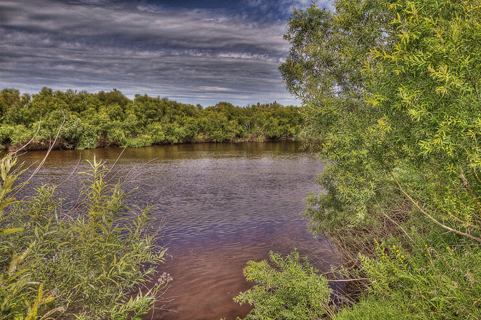 Река Омь.