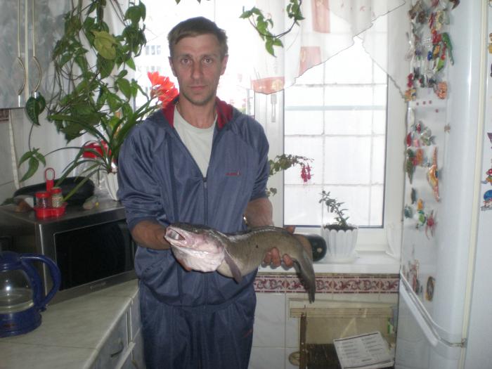 сын ловит,а я "вывожу"))