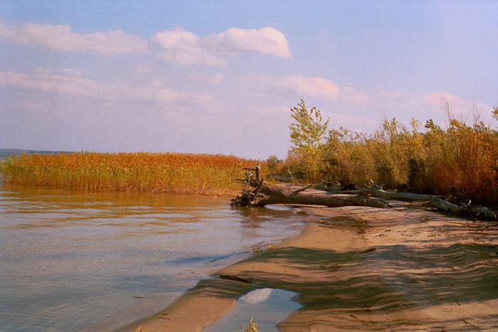 Берег острова