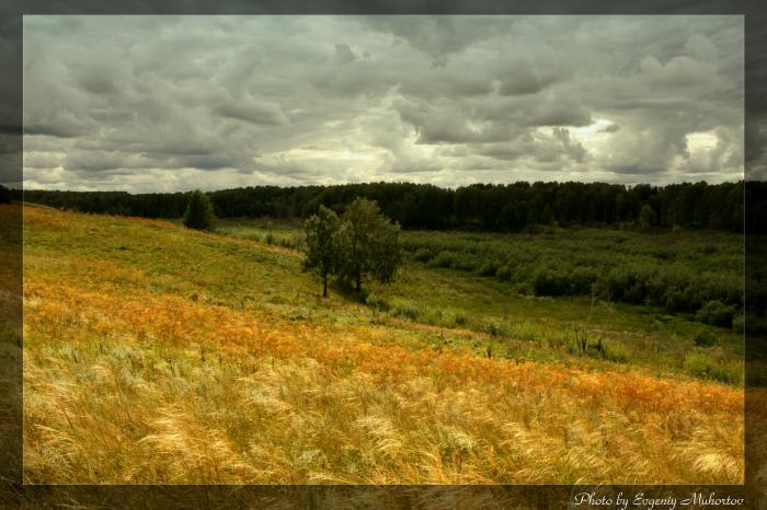 здесь было озеро . Бердск