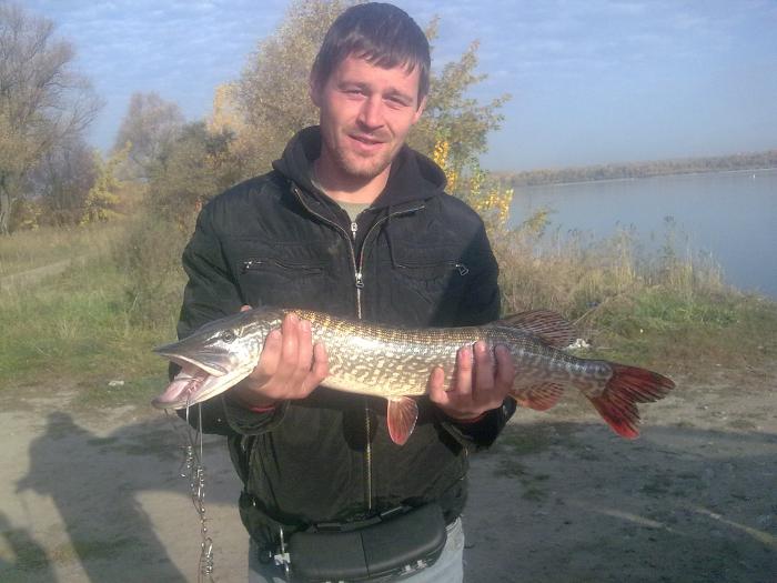 Usami Rangubey рулит. Зеленый мыс.