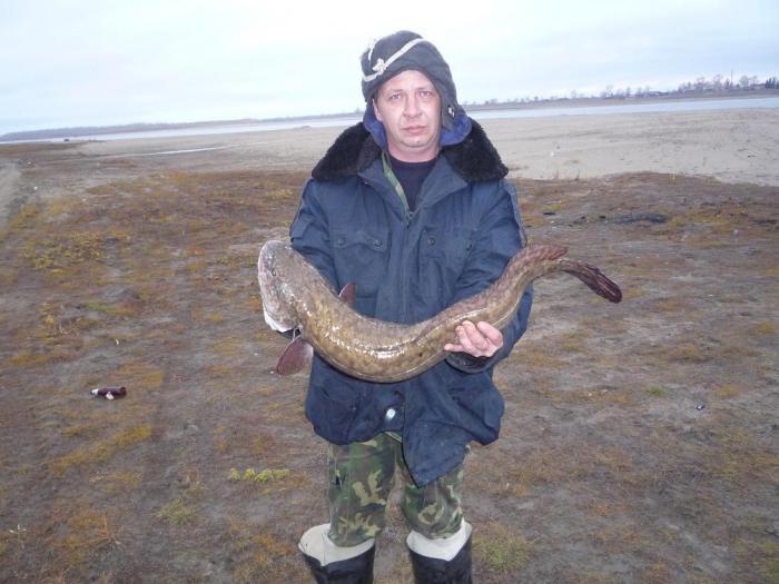 Лёха и налим