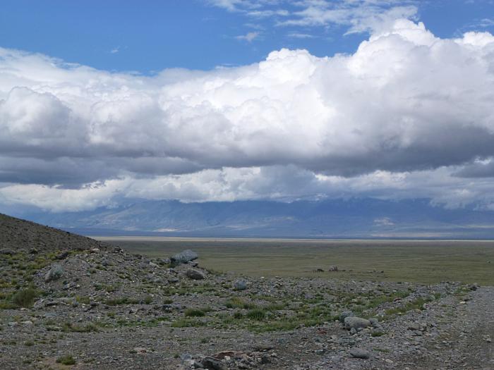 Алтай. Курайская степь