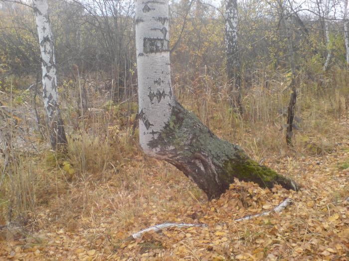 Без комментариев
