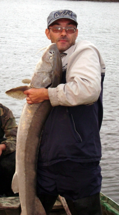 Т.О. июль 2008г. 14100