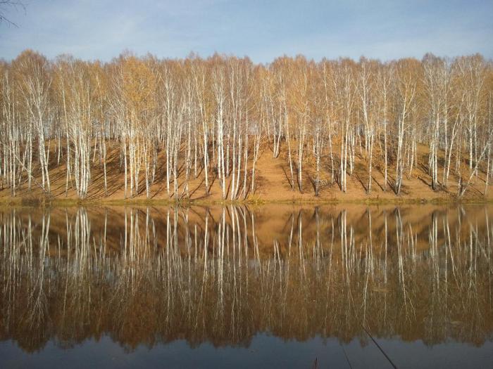 Рыбы нет, но есть природа.