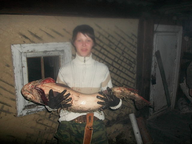 Таймень