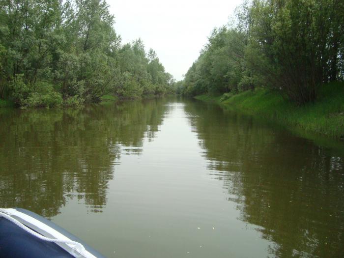 река.