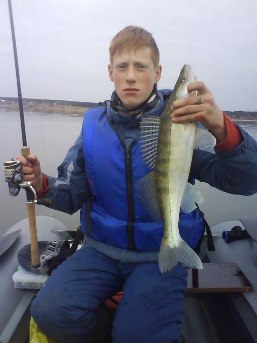 fisher-man и его судачишко с ОВХ