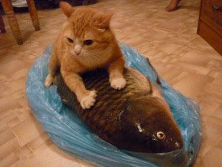 Кузя и Сазан
