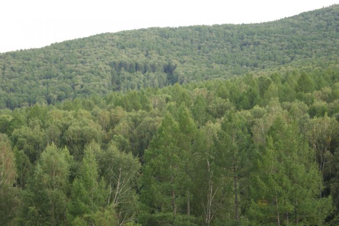 Здесь садилось НЛО