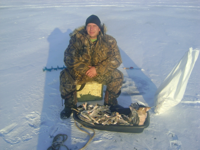 Шарап окунь