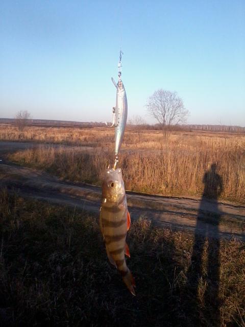 пинс магнет