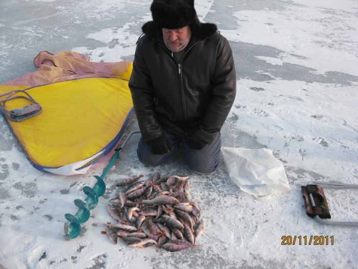 Мильтюш 20.11.2011