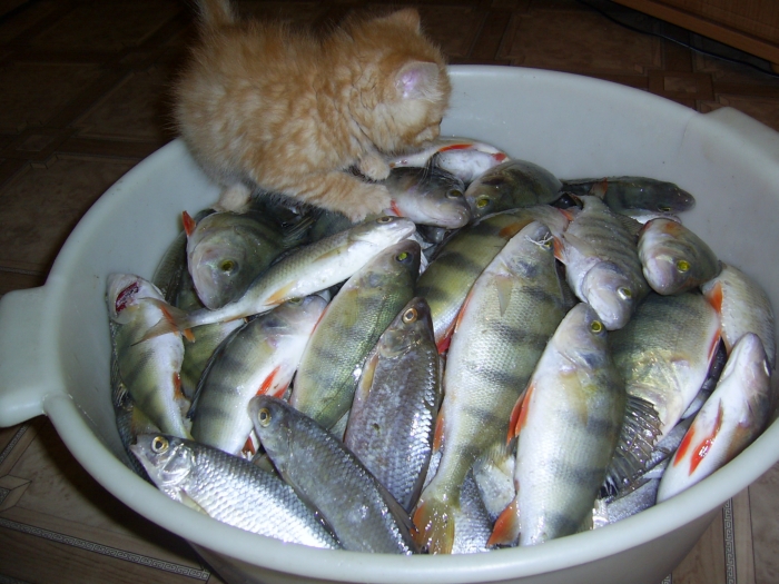 Рыбак