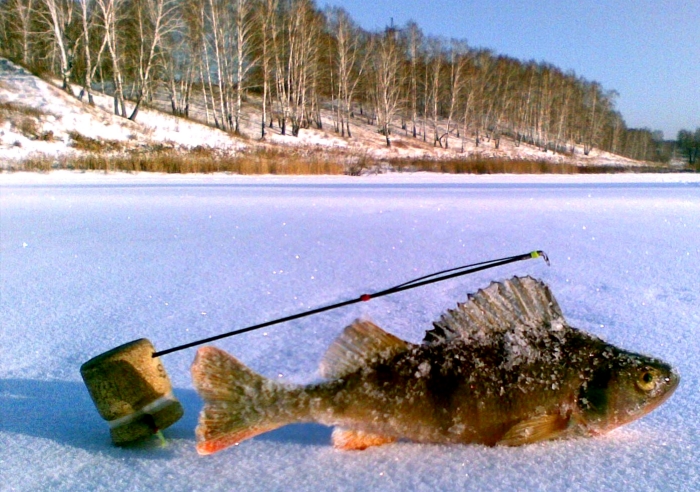 качимовка.