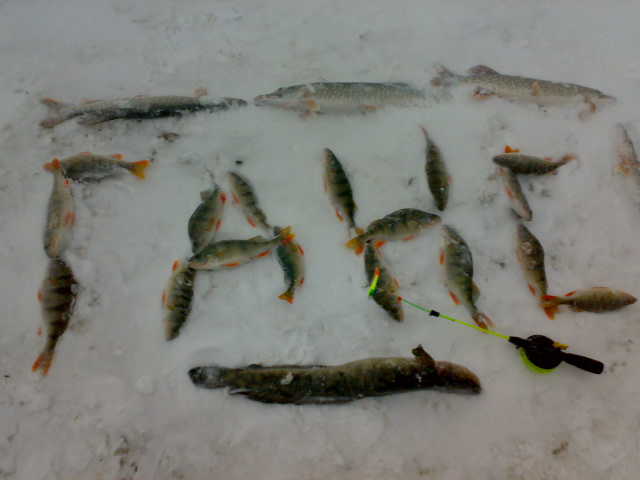 ганс))
