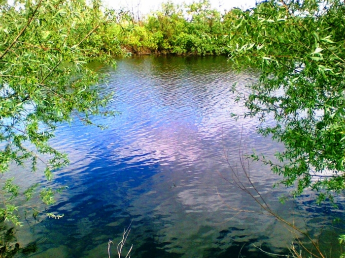 р.Уень.