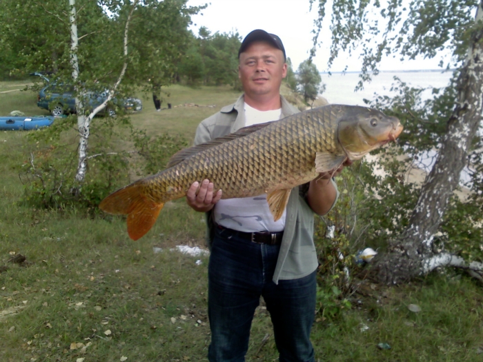 сазан 11, 500 кг. на спин...