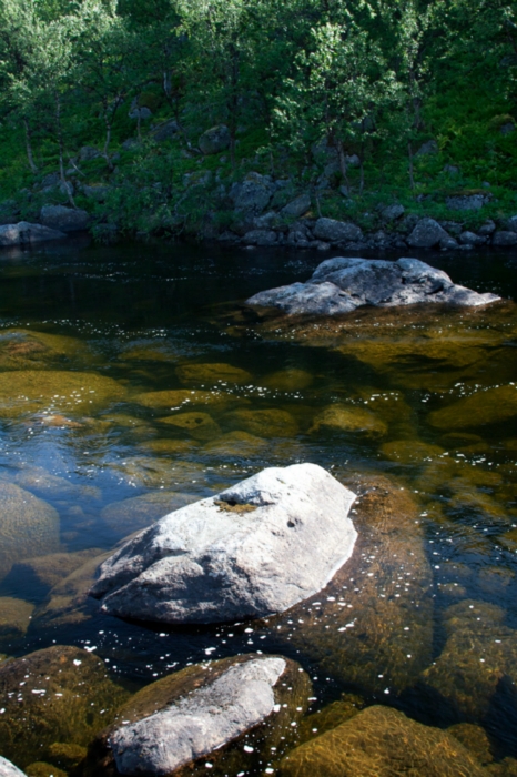Кольский-2011 р.Пенка