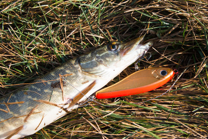 Большому куску рот радуется! :)))