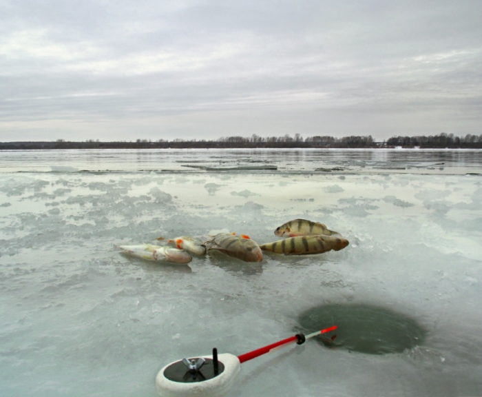 На припае, заливаемом водой.