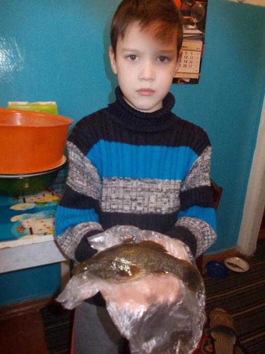 сын