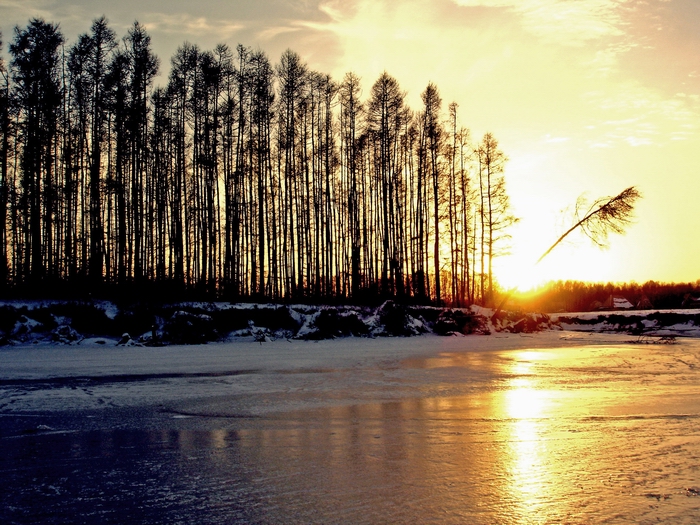 Бердь.район с/о Авиатор