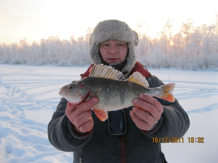укушок