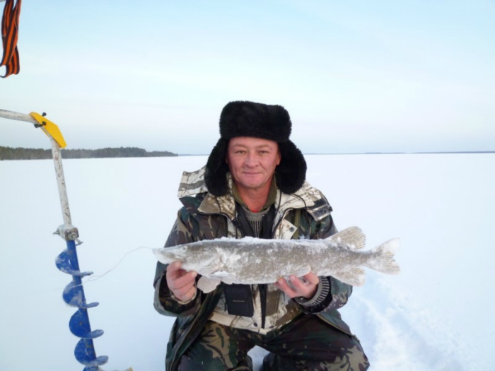 первая щука на подледные жерлицы