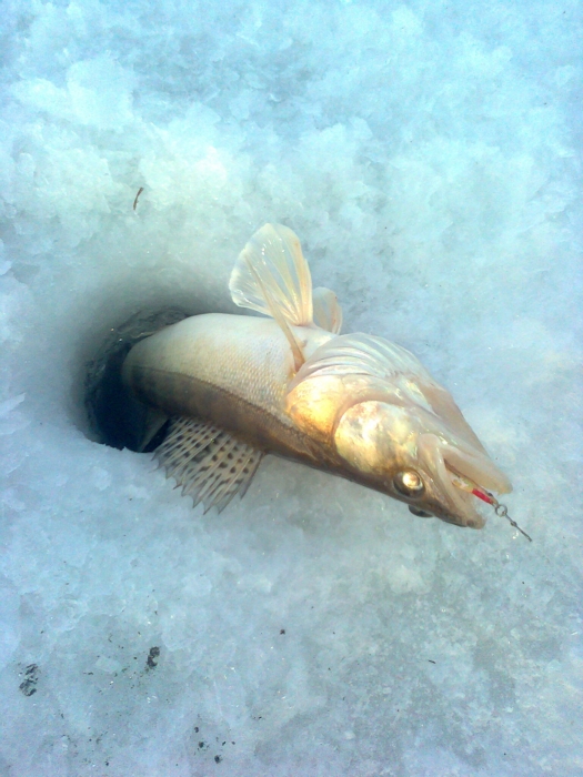 25. 12. 11. море