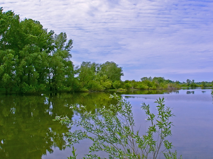 Мереть