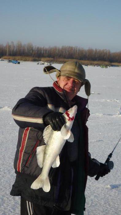 СУДААААК!!!!!!!  1кг600гр